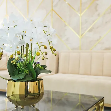 Zonya 酒店 阳光海滩