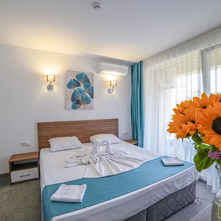 Zonya 3* 阳光海滩