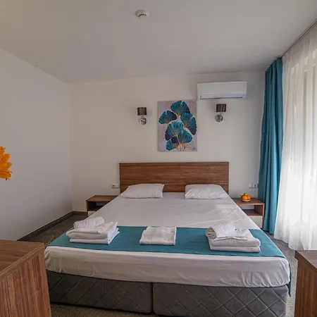 Zonya サニービーチ