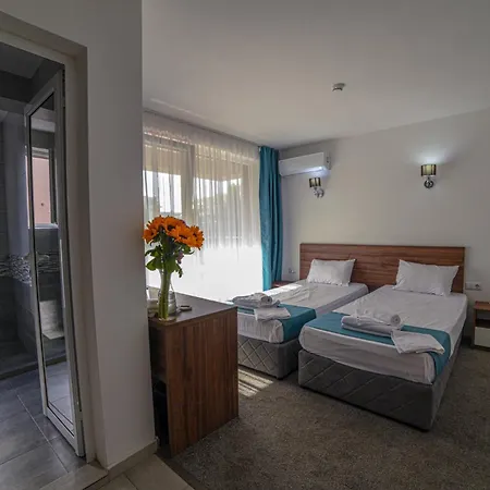 Zonya サニービーチ